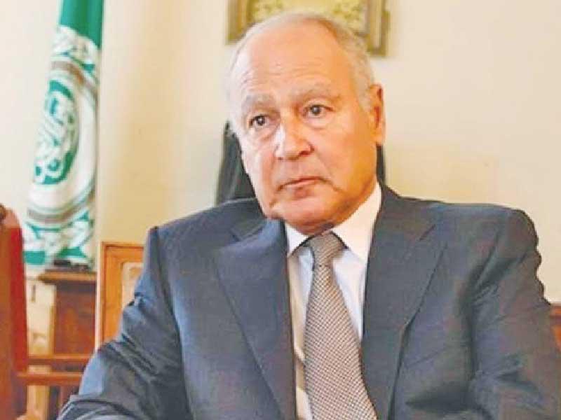 الأمين العام المساعد لجامعة الدول العربية حسام زكي