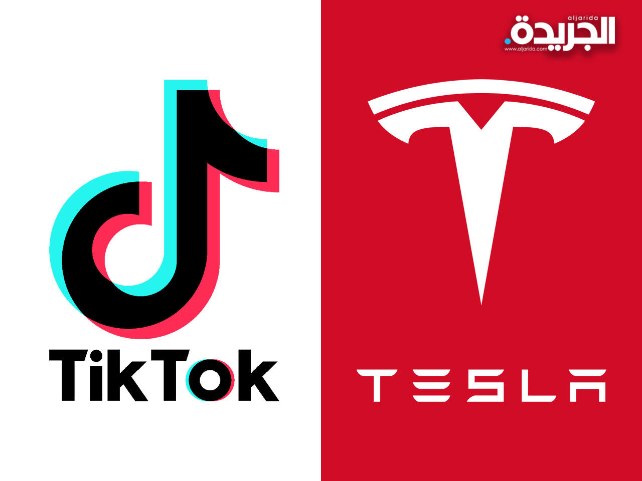«تيسلا» و«تيك توك»