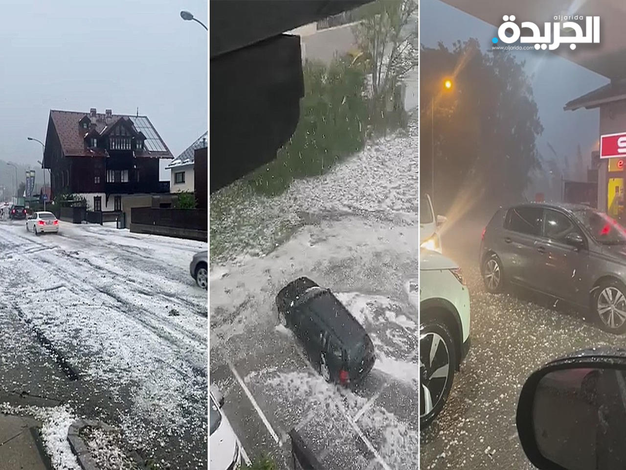 قطاع الزراعة في النمسا يتكبد خسائر قياسية خلال 24 ساعة