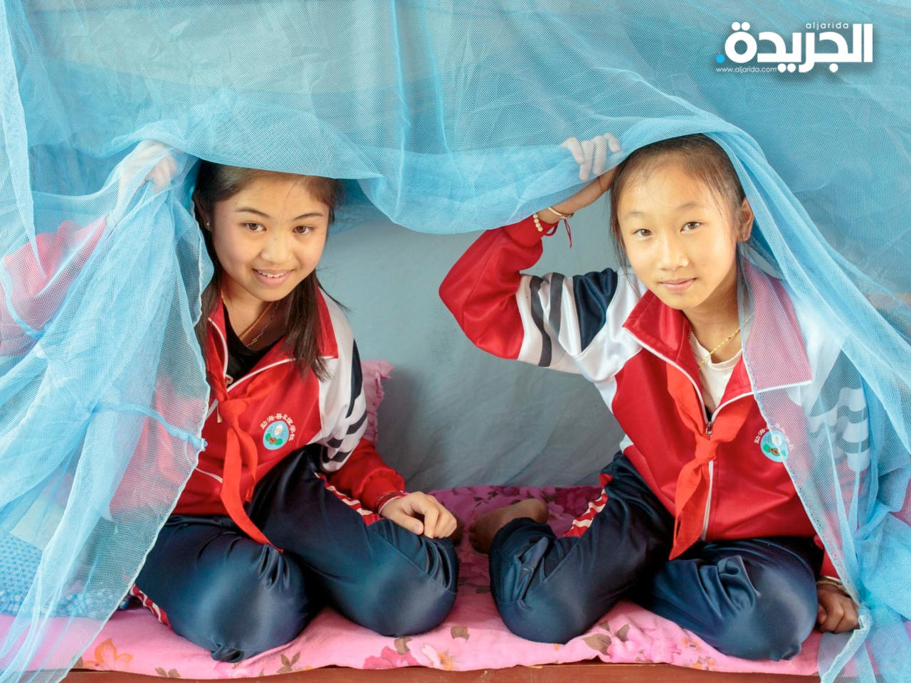 الصين تقضي على الملاريا بعد مكافحة استمرت 70 عاماً