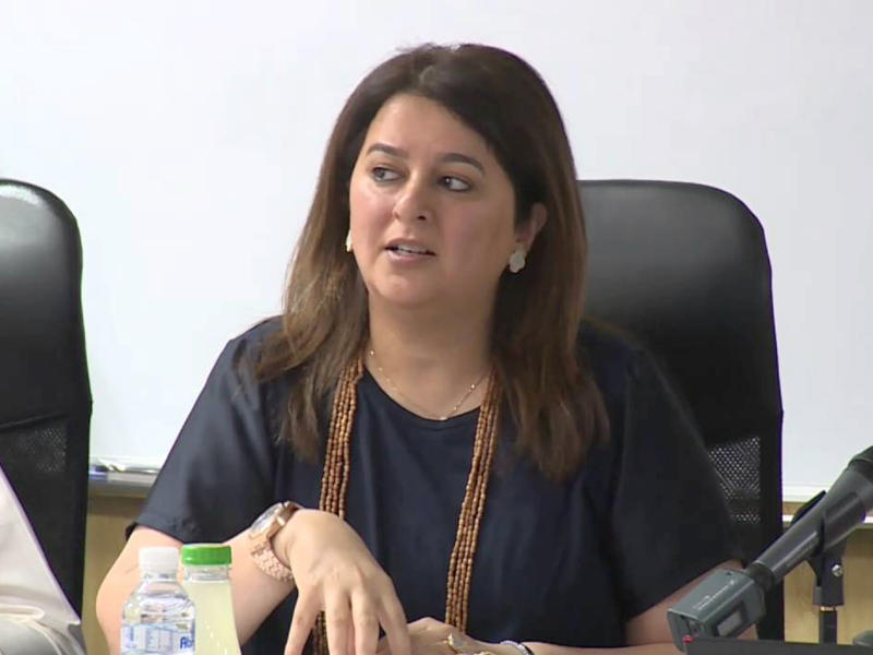  وزيرة الأشغال العامة وزيرة الدولة لشؤون الاتصالات وتكنولوجيا المعلومات د. رنا الفارس