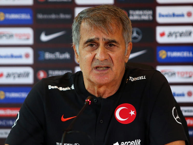  المدير الفني لمنتخب تركيا لكرة القدم شينول غونيش