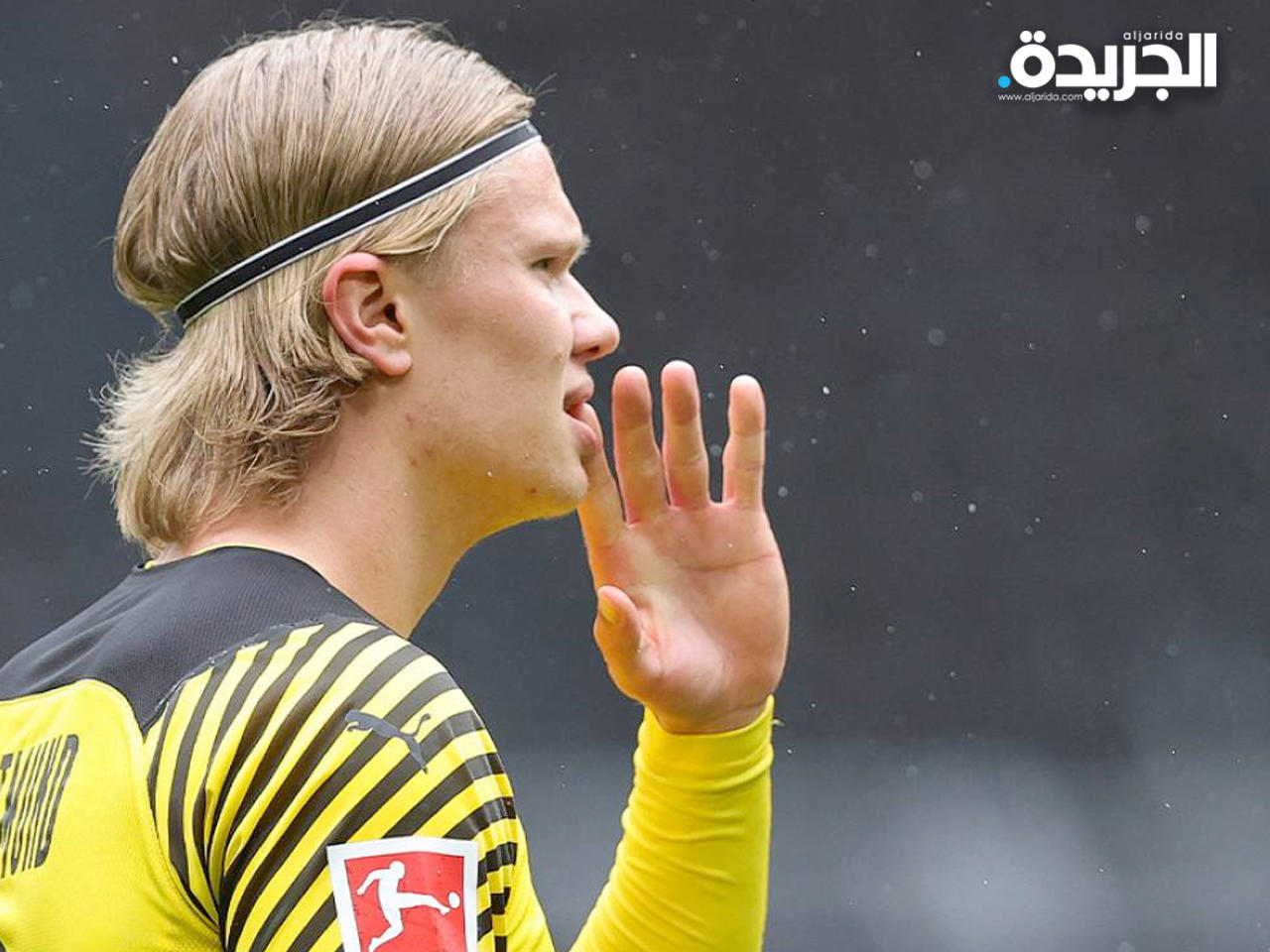 آرلينغ هولاند