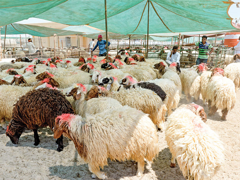 سوق الغنم
