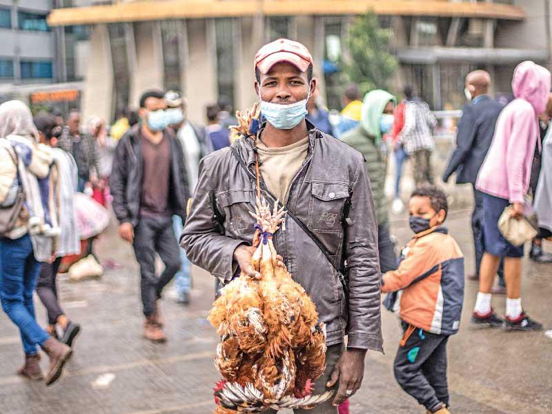 إثيوبي يبيع دجاجاً مذبوحاً في أديس أبابا (أ ف ب)