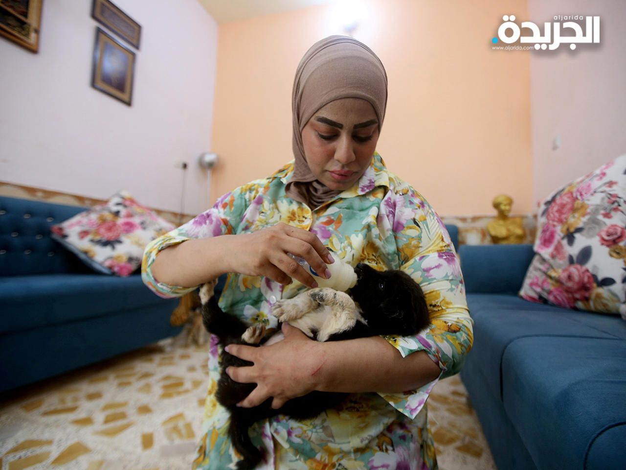 عراقية تنقذ القطط والكلاب الضالة وتعرضها للتبني