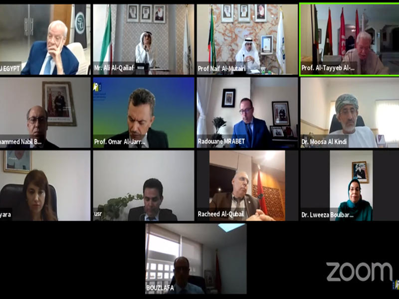 جانب من الندوة الافتراضية       