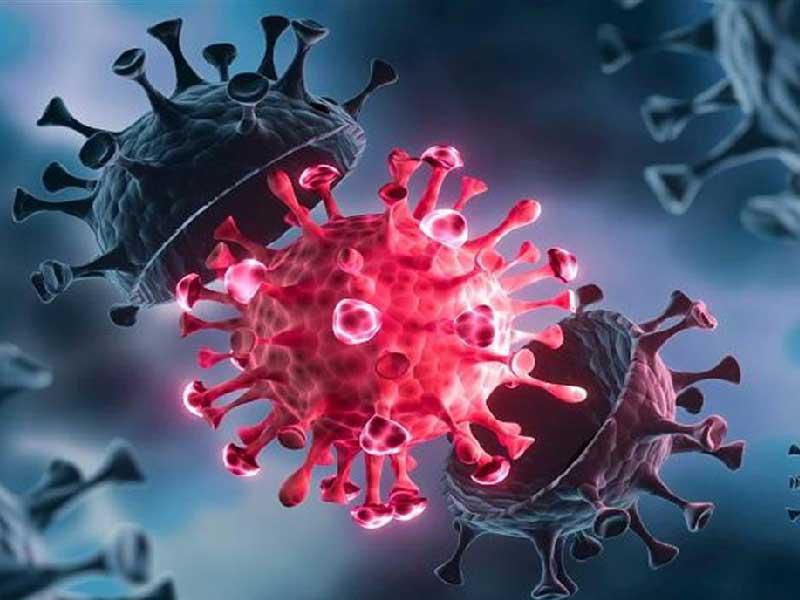 فيروس كورونا