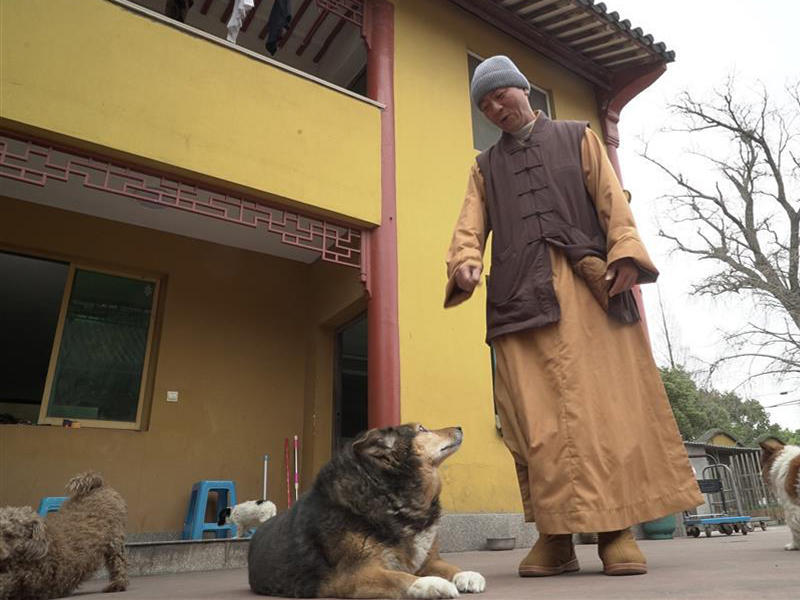 الراهب البوذي دجو سيانغ