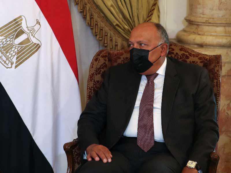 وزير الخارجية سامح شكري