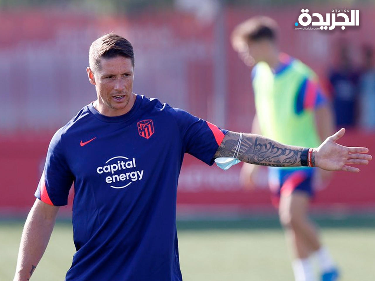 فرناندو توريس