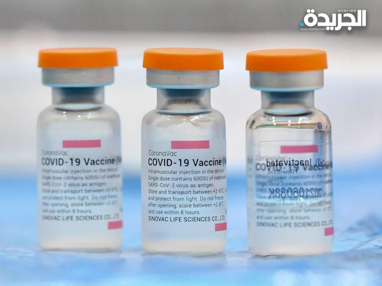 لقاح «سينوفاك بيوتيك»