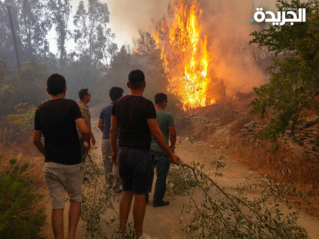 إسطنبول تحظر دخول الغابات طيلة أغسطس