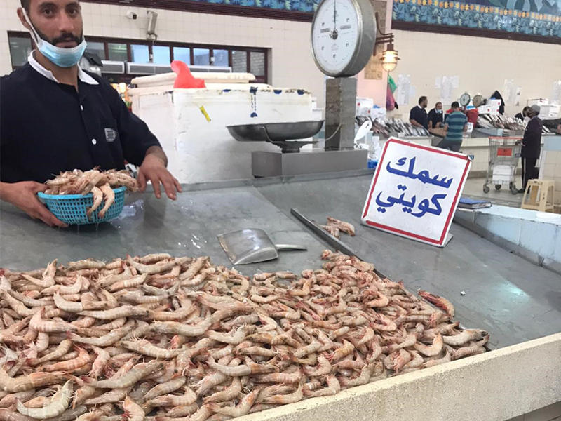 الروبيان يعود إلى أسواق السمك