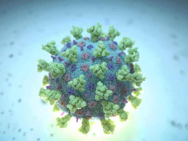 نواب أميركيون لديهم «أدلة كثيرة» على تسرب «كورونا» من ووهانn