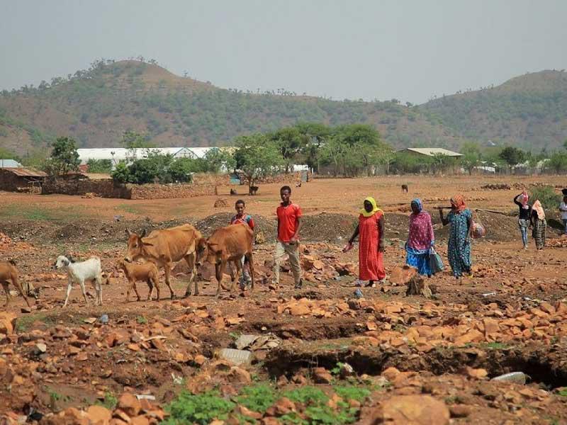إثيوبيا: 50 جثة في نهر حدودي ورفض لممر إنساني جديد بتيغرايn
