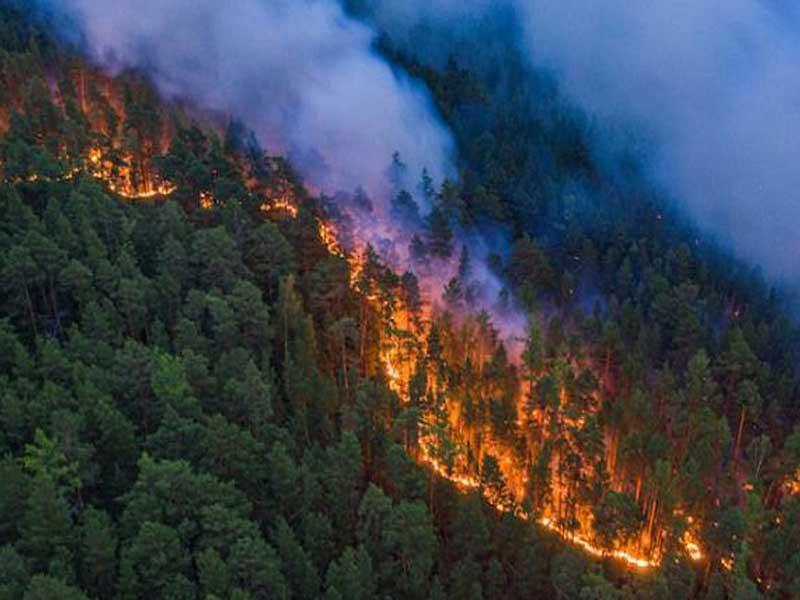 حرائق غابات بروسيا 