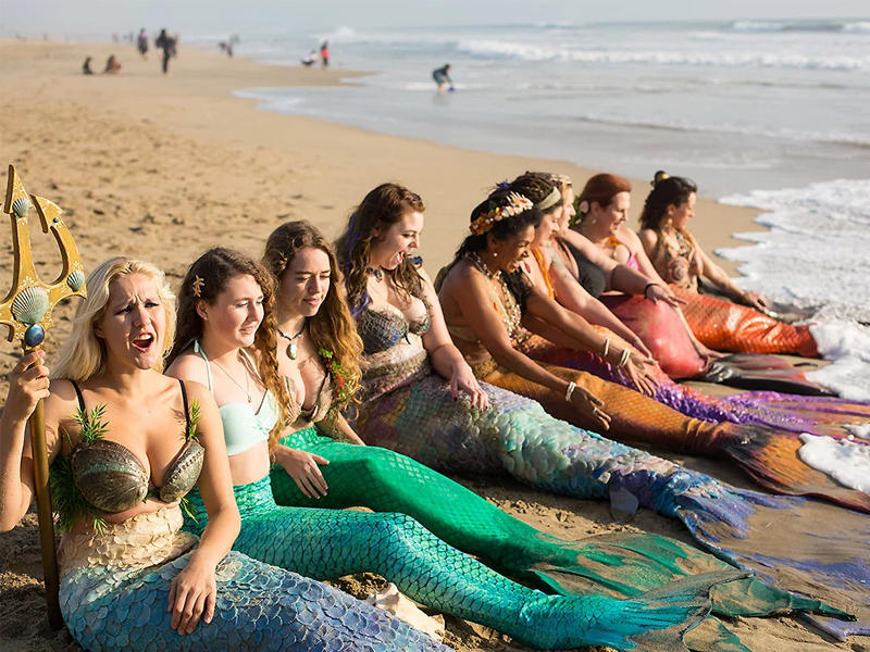 تجمع لحوريات البحر