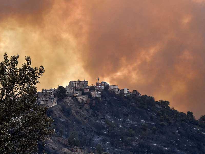 الحرائق في الجزائر