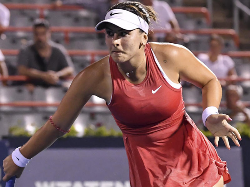  بيانكا أندرييسكو