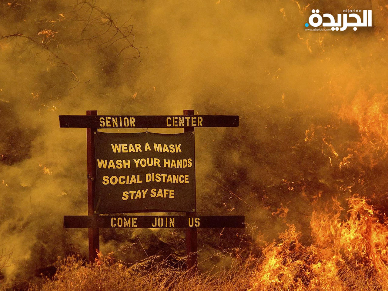 دخان حرائق الغابات