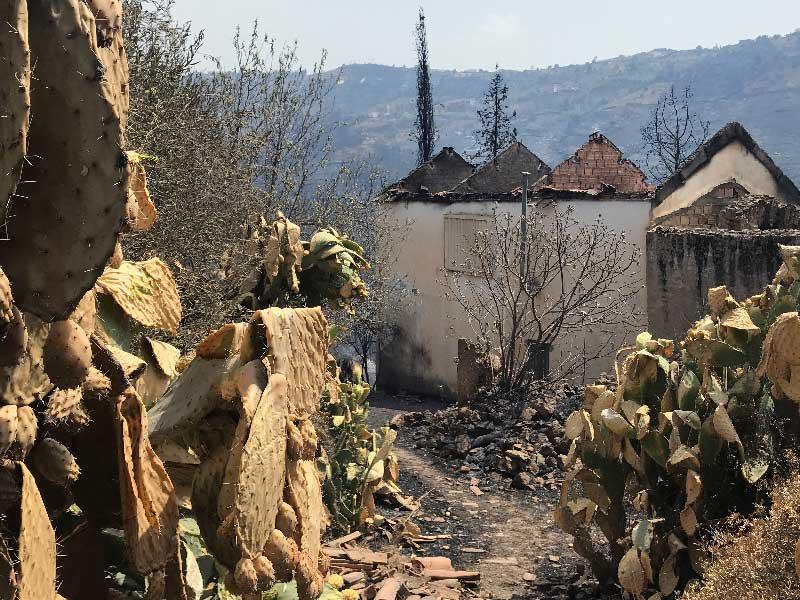 اثار النيران التي اندلعت في الفترة الأخيرة في عدة مناطق في الجزائر