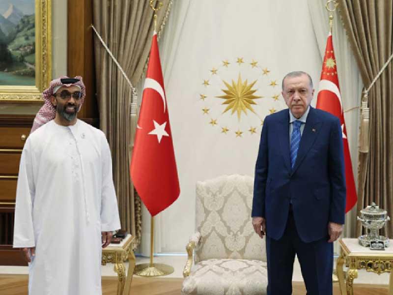 الرئيس التركي رجب طيب إردوغان ومستشار الأمن القومي الشيخ طحنون بن زايد