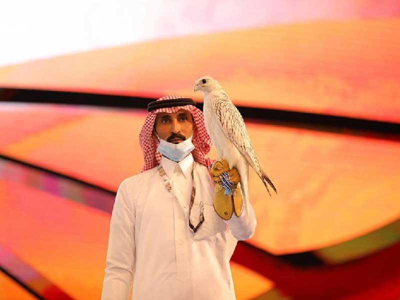 صقر كندي ضمن فعاليات المزاد الدولي لمزارع إنتاج الصقور في السعودية
