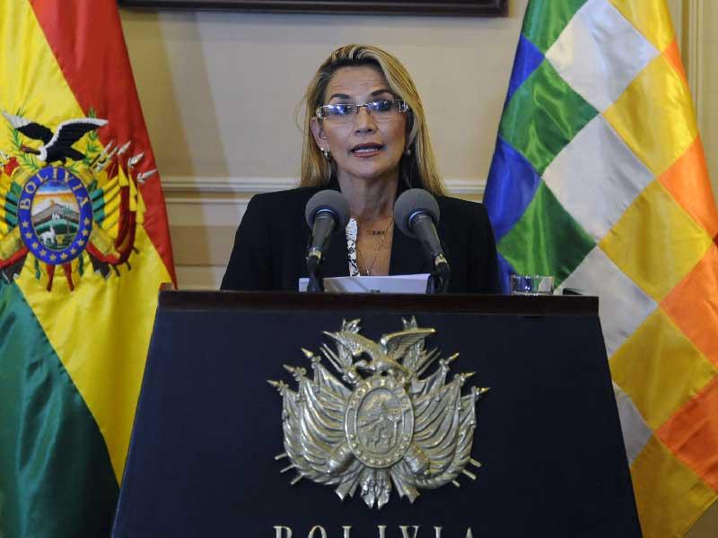 رئيسة بوليفيا السابقة جانين آنييز
