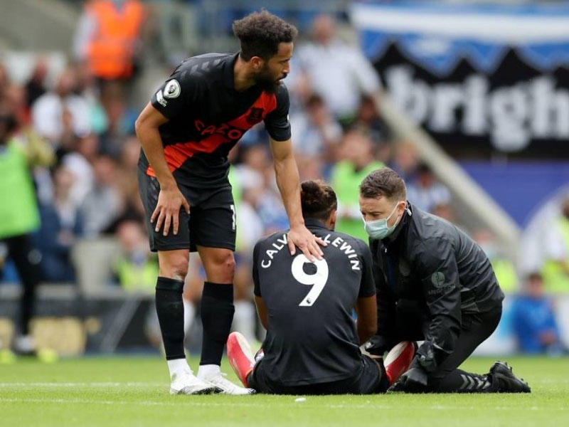 دومينيك كالفرت ليوين