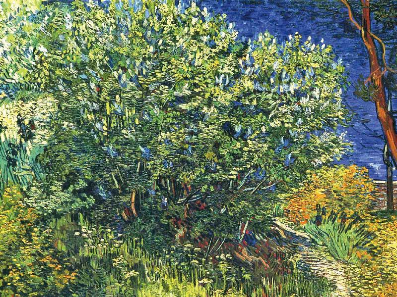 «الليلك» لفان غوخ