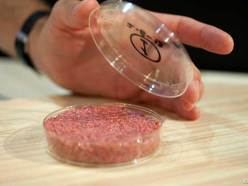 لحماً مصنوعاً من خلايا حيوانية