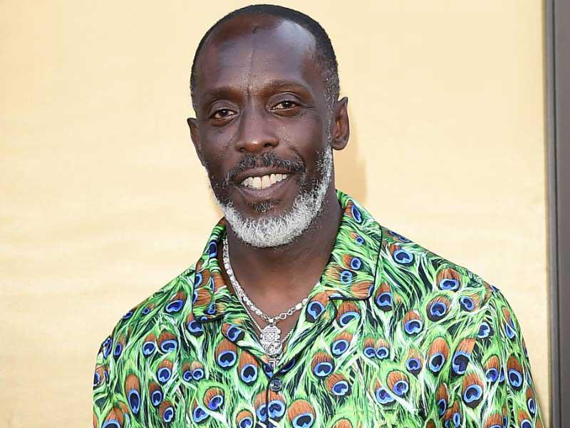 الممثّل الأميركي مايكل كاي. وليامز