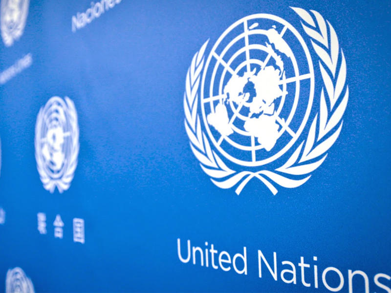 هيئة الأمم المتحدة