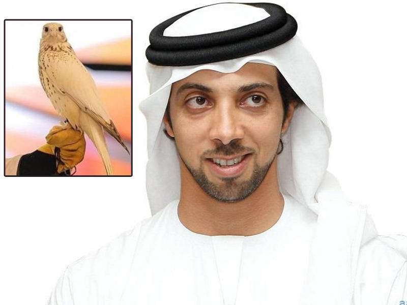 نائب رئيس مجلس الوزراء، وزير شؤون الرئاسة في الإمارات منصور بن زايد وفي الاطار يظهر أغلى صقر في العالم