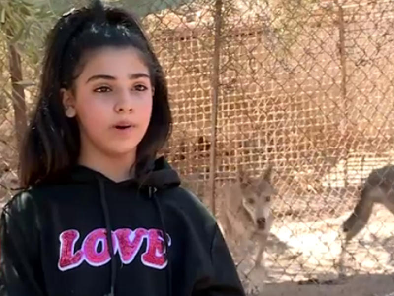  نورسين الفريحات