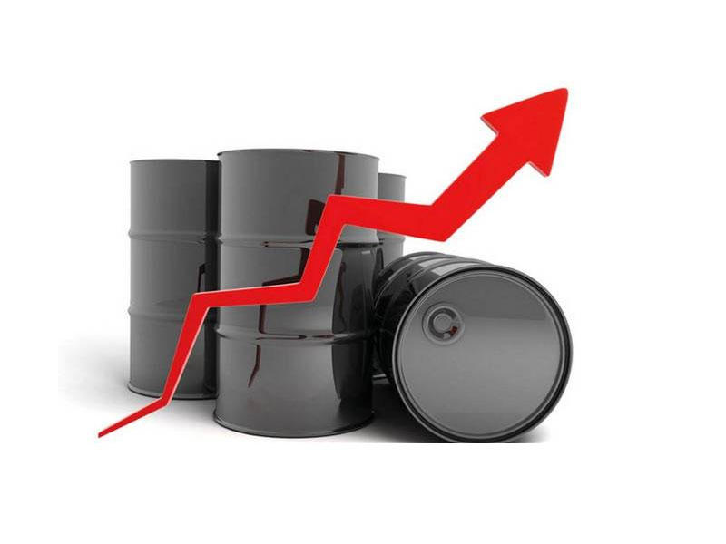 سعر برميل النفط 