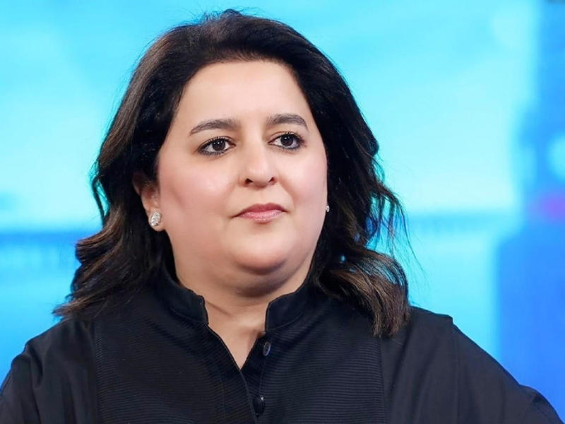 وزيرة الأشغال العامة وزيرة الدولة لشؤون الاتصالات  وتكنولوجيا المعلومات د. رنا الفارس 