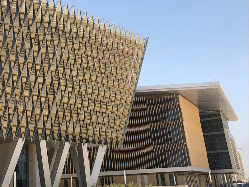 جامعة الشدادية