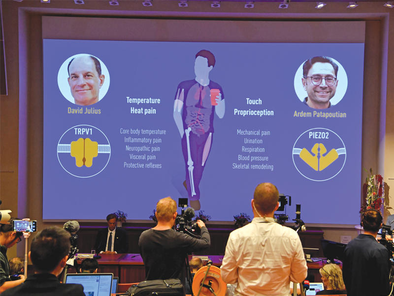 جائزة نوبل للطب