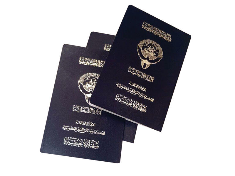 قراران بإفقاد الجنسية لـ 17 مواطناً n