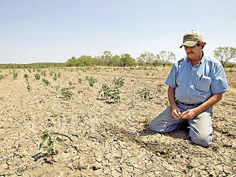  شبح الجفاف يخيم خلال السنة الجارية على العديد من ولايات الجزائر