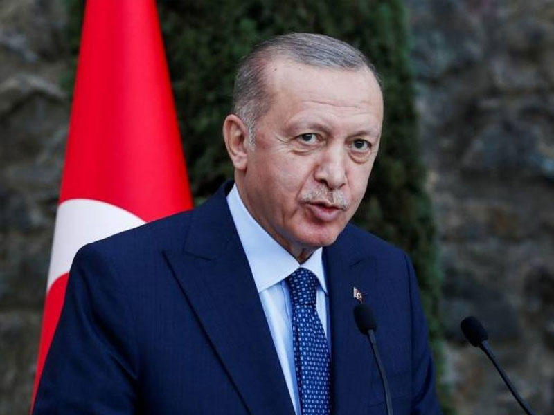 الرئيس التركي رجب طيب إردوغان 