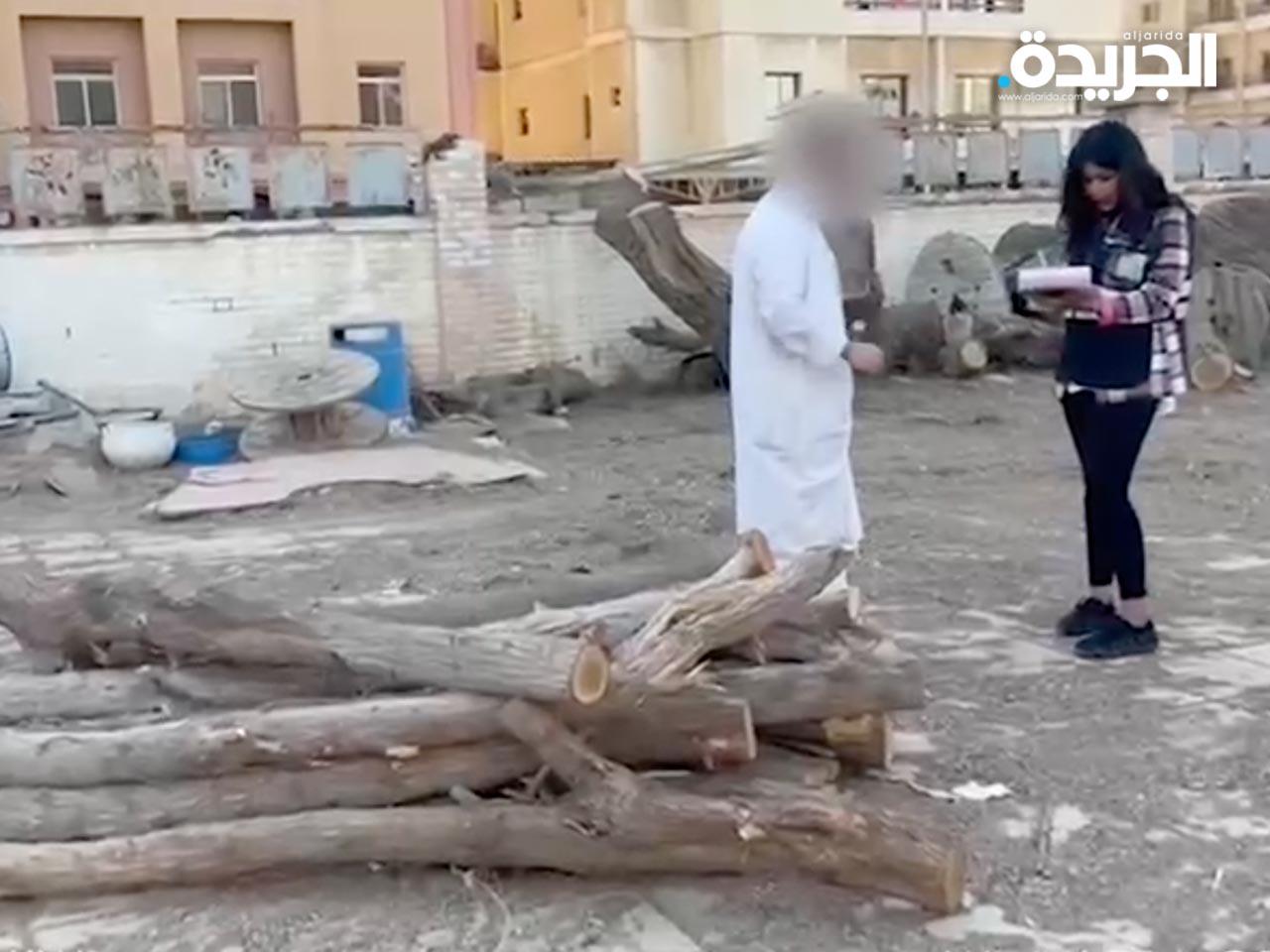 تحرير المخالفة