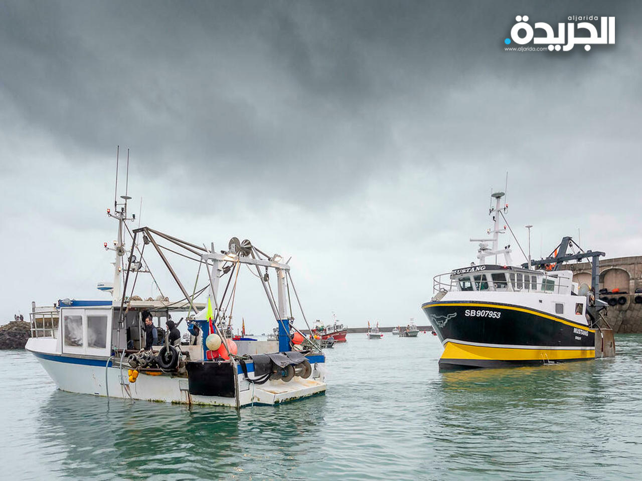 حقوق الصيد تشعل خلاف بين الحليفين