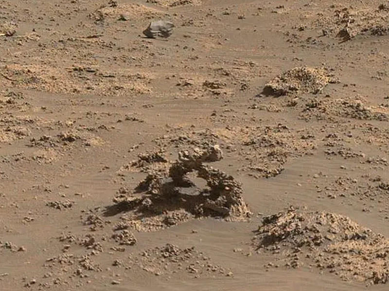 ضفدع على سطح المريخ