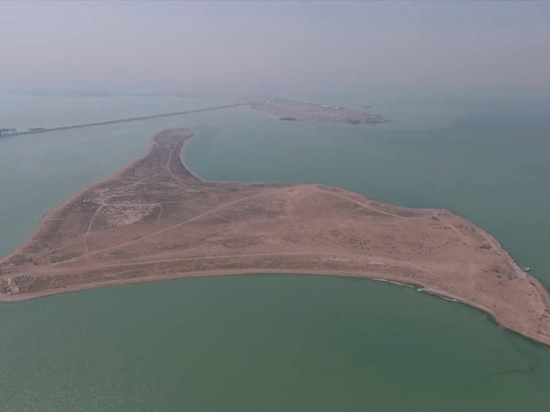 جزيرة أم النمل