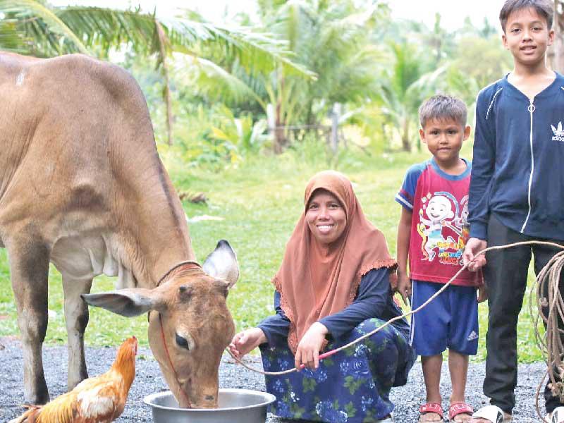 جانب من المشاريع المنتجة للأسر الفقيرة