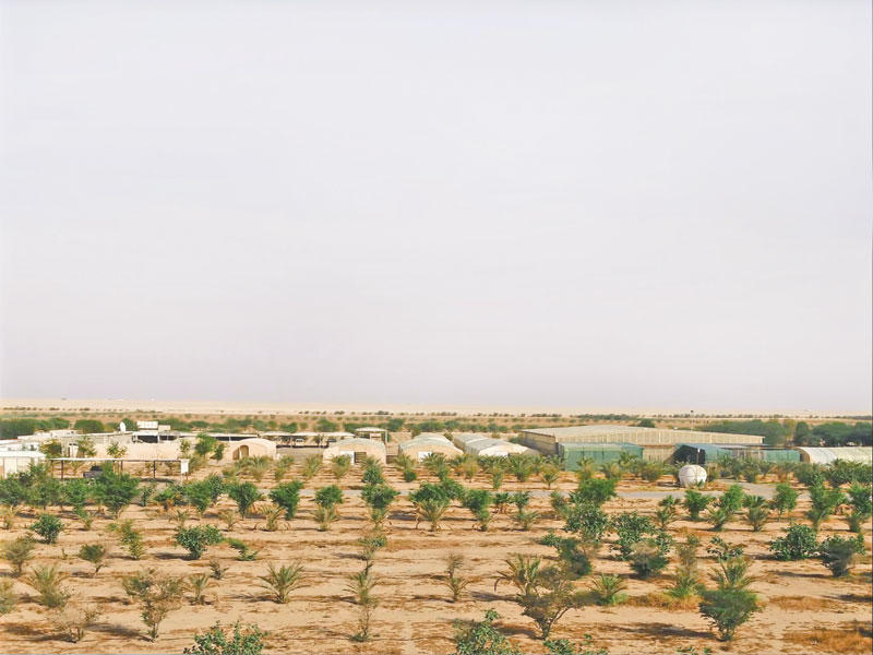 محمية الجيش