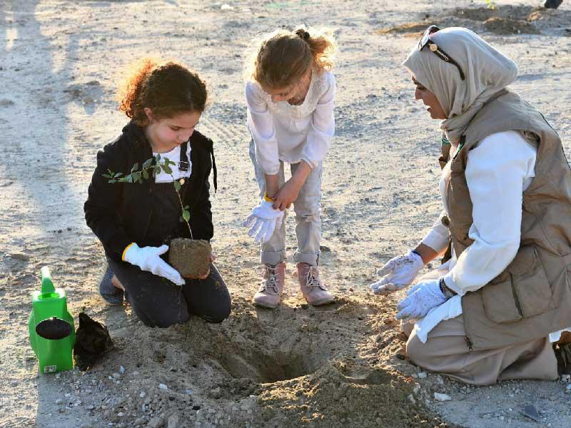 جانب من حملة التشجير